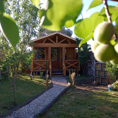 Foresta Acantilados, Casa Container Y Cabana De Troncos Μαρ ντελ Πλάτα Εξωτερικό φωτογραφία