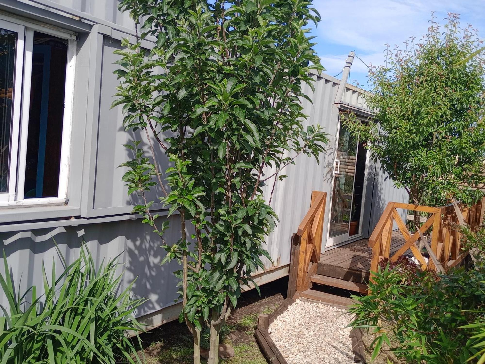 Foresta Acantilados, Casa Container Y Cabana De Troncos Μαρ ντελ Πλάτα Εξωτερικό φωτογραφία